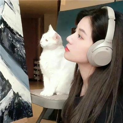 全知干预视角
